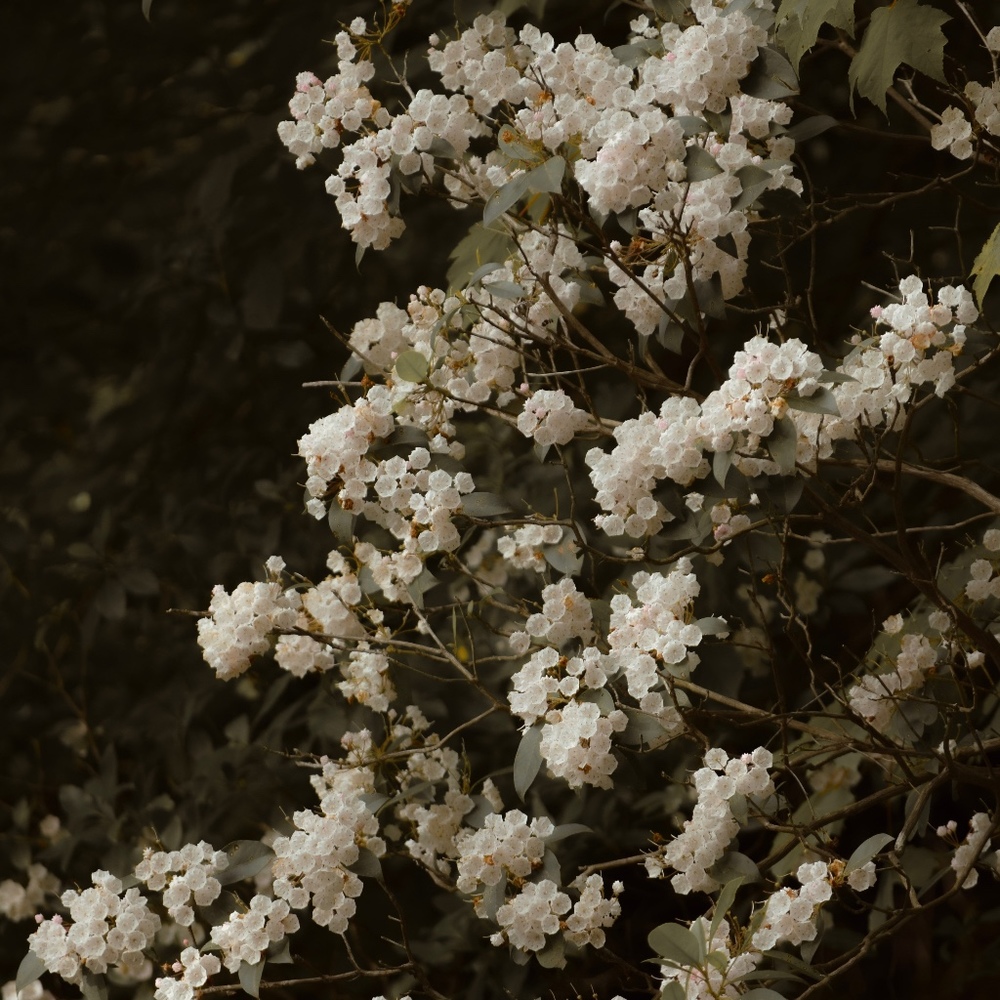 Meet your Posher, Gaelyn